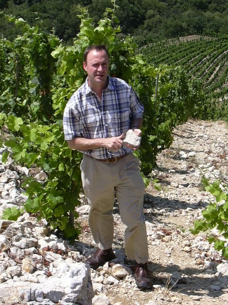 Rhône Valley vineyard — a French wine region of two distinct halves