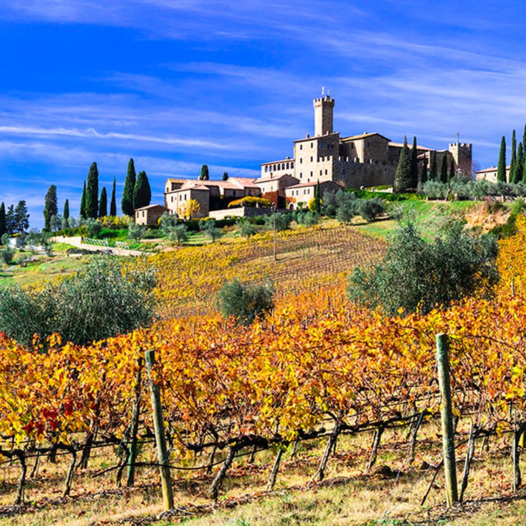 italian wine guide