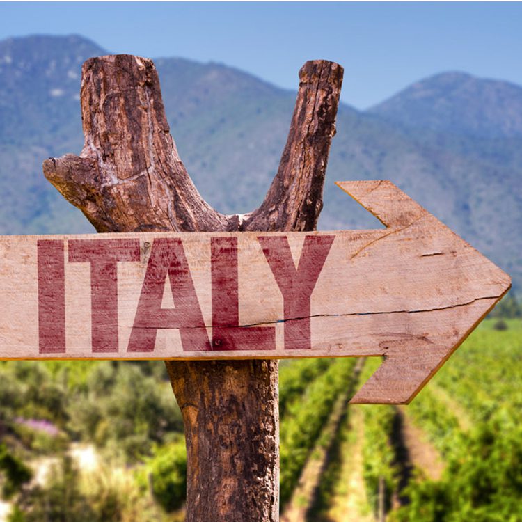 italian wine guide - 