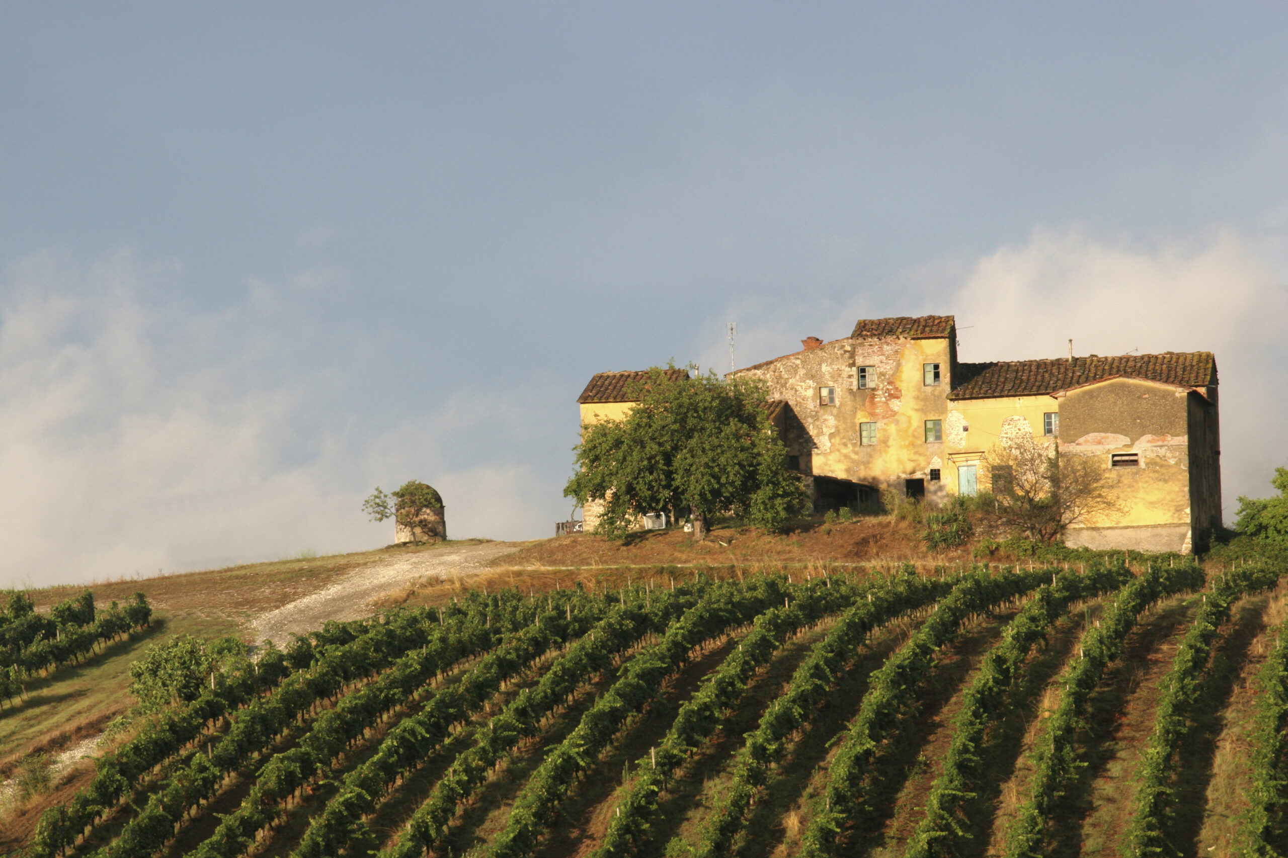 Italian Wine Masterclass